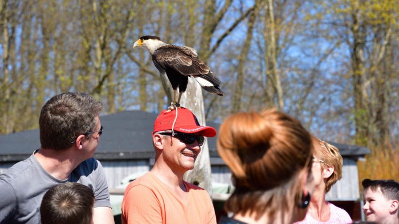 Wunsiedel – Greifvogelpark