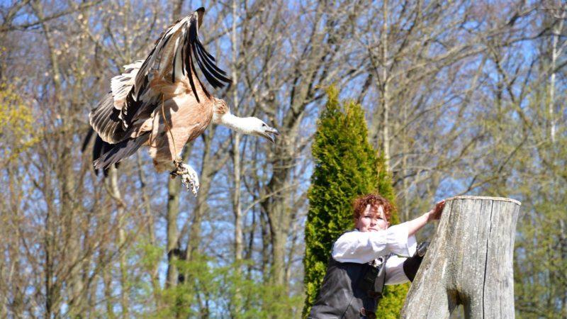 Wunsiedel – Greifvogelpark