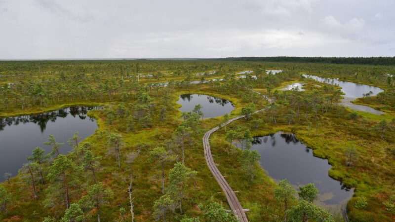 Kemeri Nationalpark