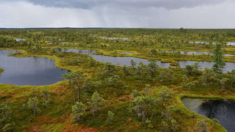 Kemeri Nationalpark