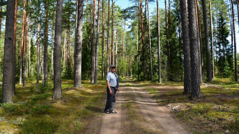 Pilezers See Wald