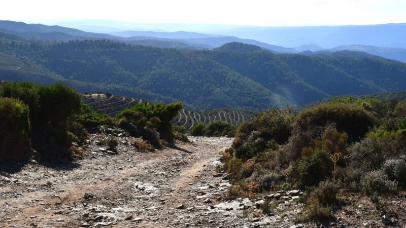 Offroad Track Molte Albo