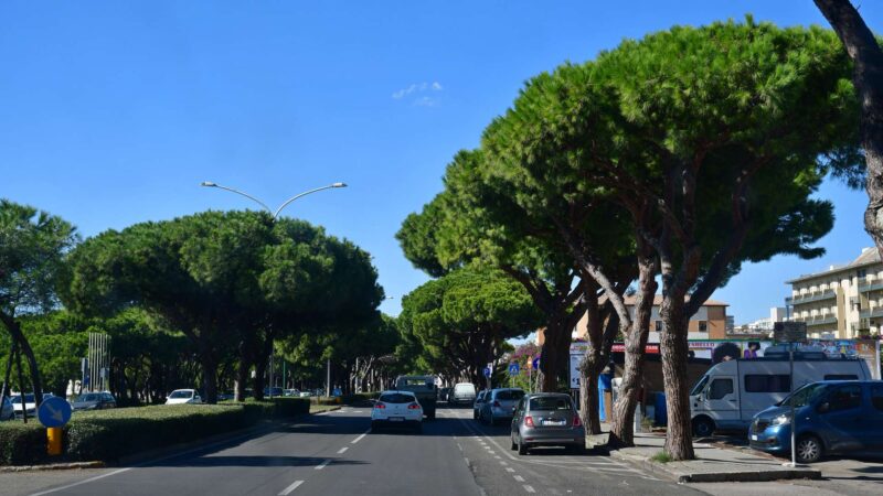 Cagliari