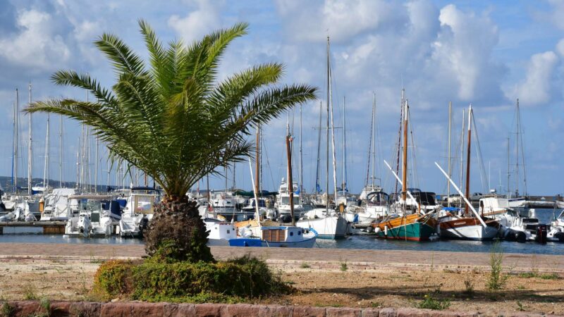 Hafen von Calasetta