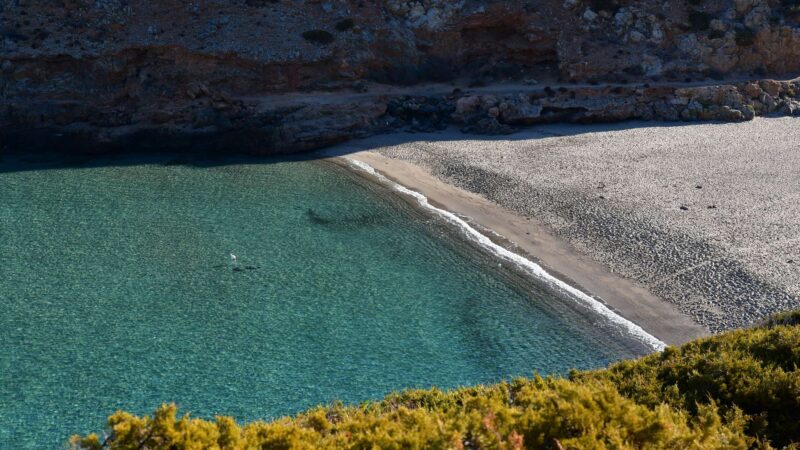 Cala Domestica