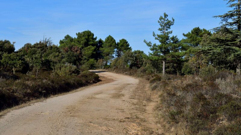 Offroad-Tour Pilgerweg