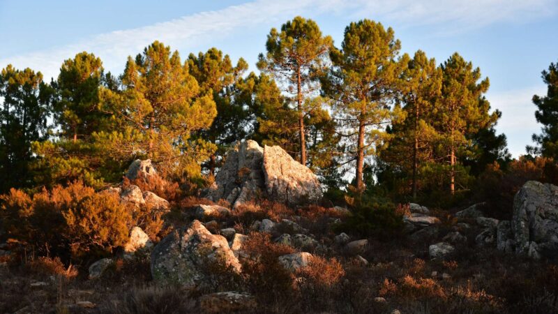 Offroad-Tour Pilgerweg