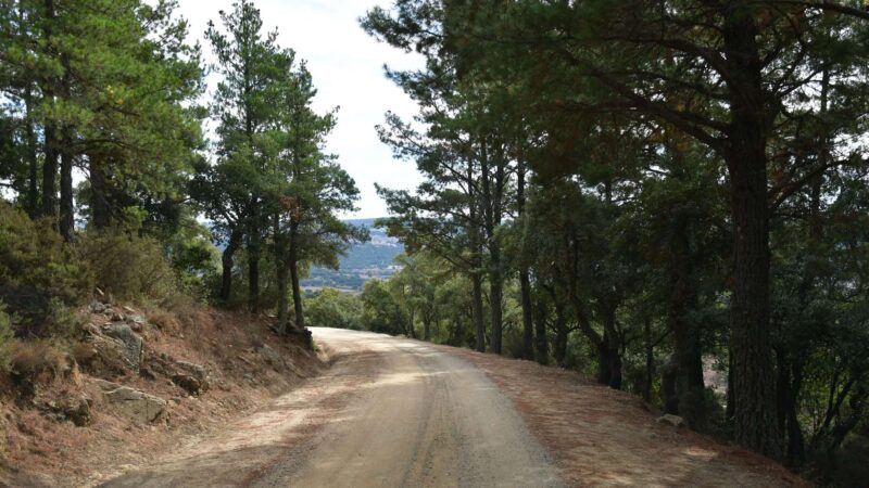 Offroad-Tour Pilgerweg