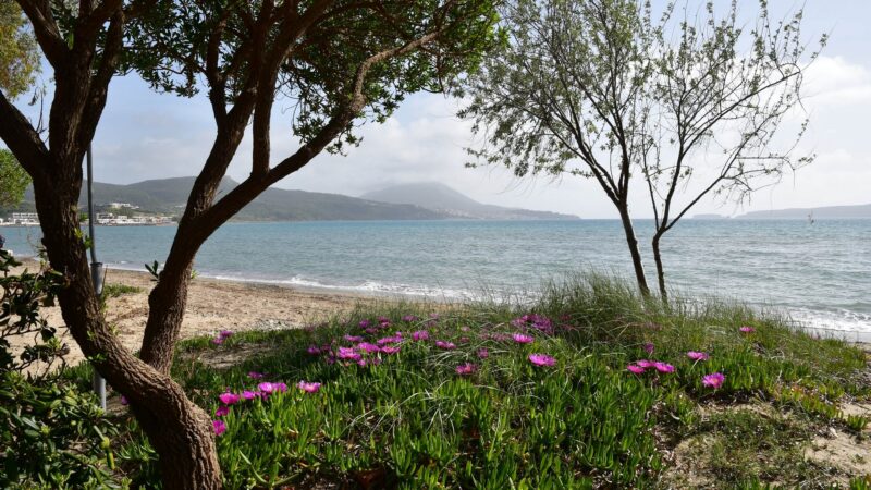 Campingplatz Navarino