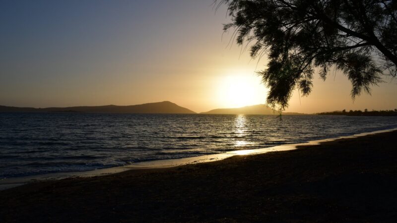 Campingplatz Navarino