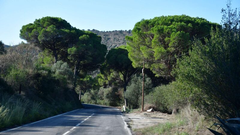 On the road Cap de Creus