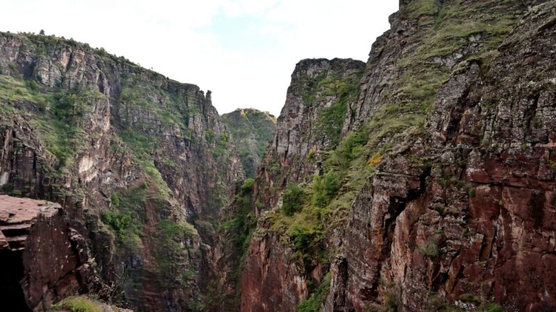 20251017_183850_Z50_2797