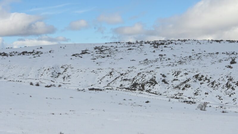 On the road im Winter