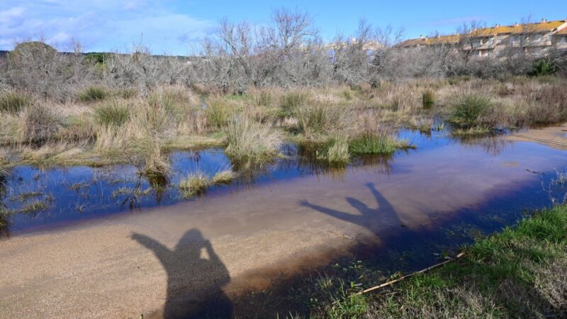 Überschwemmte Felder