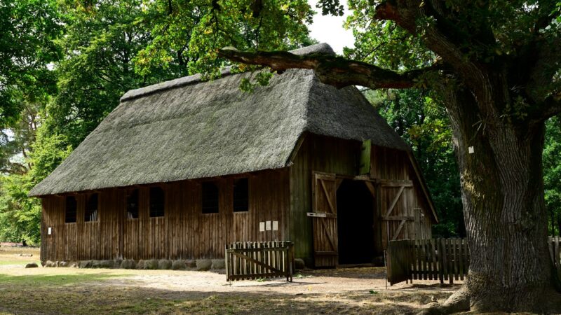 Stall