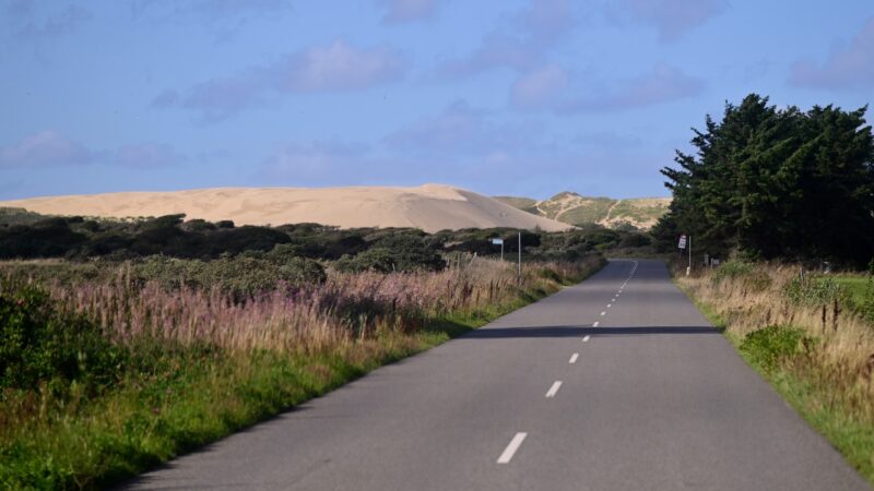 Sanddüne Rubjerg