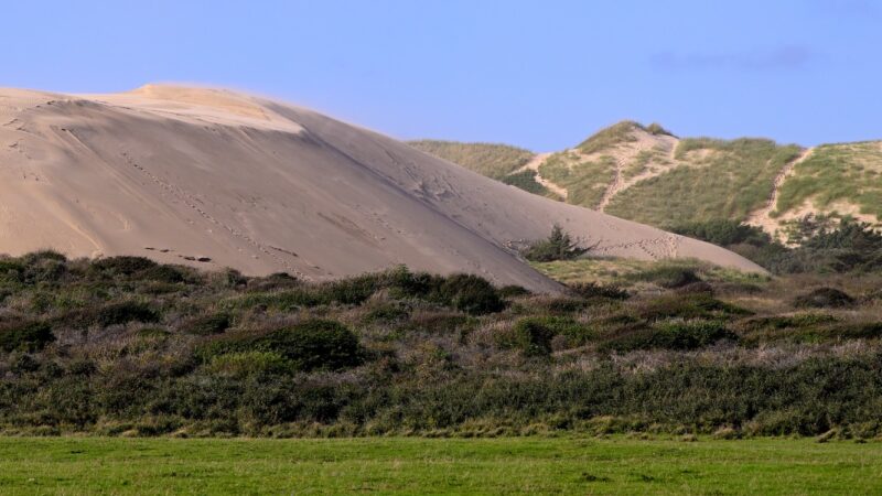 Sanddüne Rubjerg