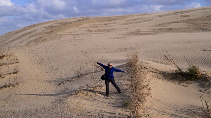 Im Sand
