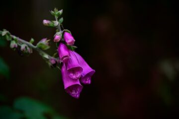 20260909_182137_Z8_6502