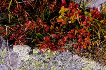 20260913_102539_Z8_7139