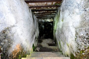 20260925_133636_Z8_9037
