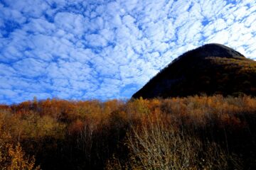 20261001_102933_Z8_10513