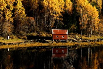 20261003_104426_Z8_11283