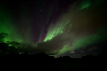 20261009_225145_Z8_12471